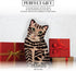 Pavilion Gift Company - Rescue Me Now - Small Brown Tabby Vase, 8-1/2-Inch Tall...