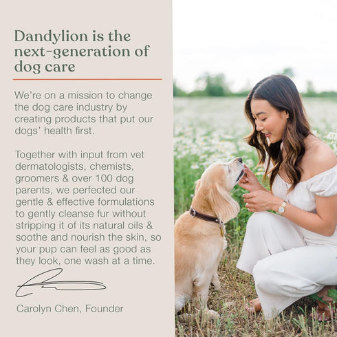 Dandylion Clean Paws | No-Rinse Foaming Cleanser | Gentle, Fragrance-Free, and pH Balanced to Provide a deep Clean Safe for All Dogs | 5fl oz. Bot...