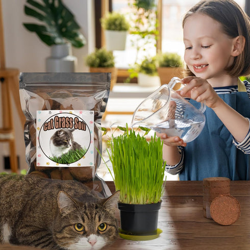Organic Potting Soil for Indoor Cat Grass, Great Seedling Soil for Wheat Grass, bermuda, catnip, and All Indoor Herb Plants...