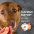 Shameless Pets Crunchy Dog Treats Party Mix Variety Flavors 10oz size...