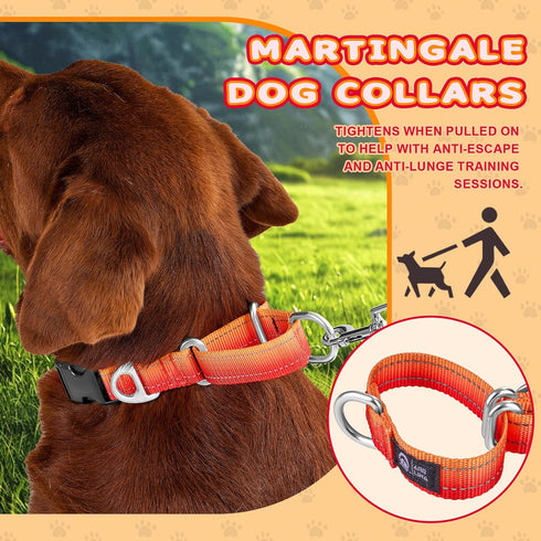 Martingale Dog Collar Light-reflective Polyester Collars for Dogs Whippets, Greyhounds, Saluki, American Bully, No-pull No-escape Safety Training ...