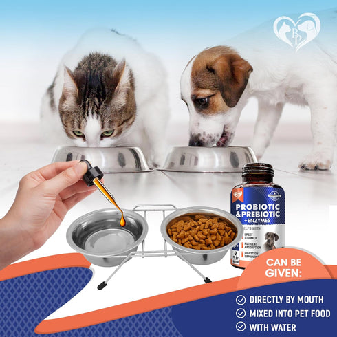 Probiotics & Prebiotics with Enzymes for Dogs and Cats - Digestive Gut Flora Health Pet Food Supplements - Constipation & Diarrhea and Gas Home Re...