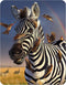 Magnet - Jailbird from Deluxebase. Lenticular 3D Zebra Fridge Magnet. Magnetic Decor for Kids and Adults with Artwork Licensed from Renowned Artis...