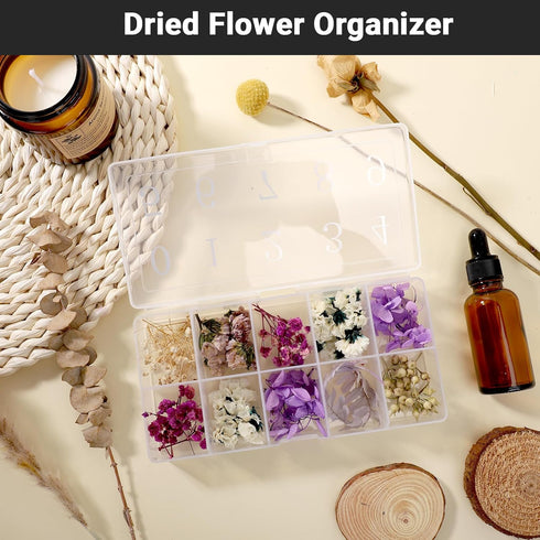 False Nail Tip Organizer Box, 4PCS 10-Slot Bead Storage Container, Clear Plastic Case for Nail Art Craft, Rhinestone Jewelry Charms Holder, Vitami...