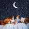 190 Gold Star Constellation Wall Decal Kids Bedroom Removable Decoration Outer Space Nursery Sticekrs Zodiac Astronomy Art Mural Decor ZB162 (Whit...