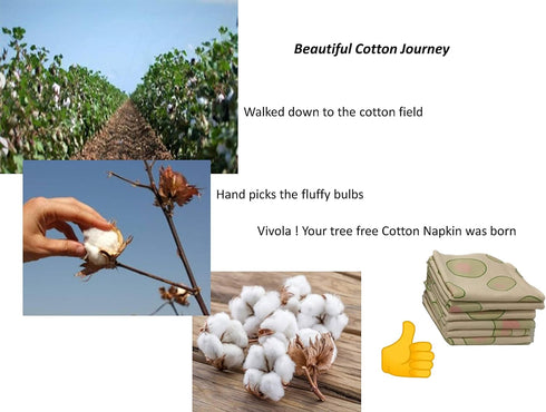 Reusable Paperless Cotton Towels Eco-Friendly Product Zero Waste Washable Cloth -2 PLY 12 Pieces Pack 11" x 9"...