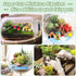 172Pcs Miniature Fairy Garden Accessories including 100Pcs Fixed Pins, modacraft Fairy Garden Kit Fairy House Animal Figurines Mini Landscape for ...