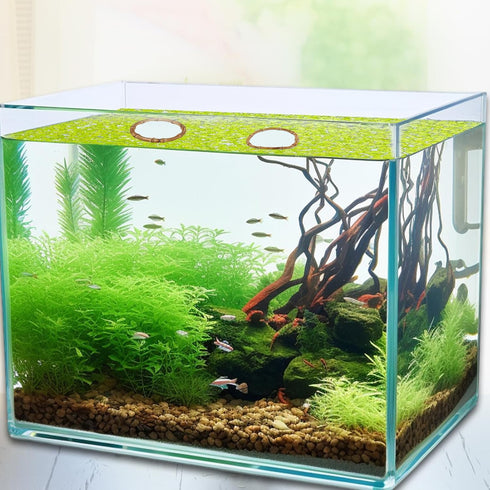 2pcs Aquarium Feeding Rings, Wooden Fish Feeding Rings Fish Tanks Plant Corral Floating Plant Feeding Rings for Keeping Floating Plants in Place F...