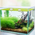 2pcs Aquarium Feeding Rings, Wooden Fish Feeding Rings Fish Tanks Plant Corral Floating Plant Feeding Rings for Keeping Floating Plants in Place F...