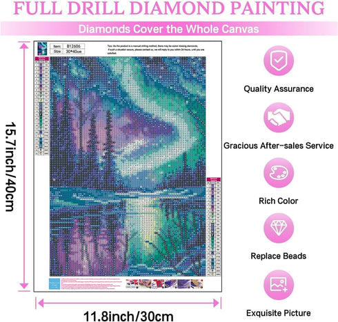 DIYCYCY Aurora Landscape Diamond Art Kits for Adults,DIY 5D Diamond Painting Kits for Beginners,Round Full Drill Diamond Dots Paintings Picture Ge...