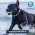 New AirTag Dog Collar Holder IPX8 Waterproof Carbon Fiber Mount (1 Pack) Ultra-Secure,Never Dehisce Apple Airtag case,Fits All Width Collars?for S...