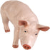 Safari Ltd. Boar Figurine - Realistic, Lifelike 4.25" Model Figure - Fun and Educational Toy for Boys, Girls & Kids Ages 3+...
