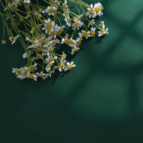 Green Peel and Stick Wallpaper Solid Green Contact Paper 15.7inch x 118.1inch Green Contact Paper Peel and Stick Self Adhesive Wallpaper Removable...