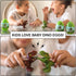 Kids Dinosaur Toys, Baby T-Rex Dino Eggs, 4 Pack Small Egg Toys, Perfect Dinosaur Toys for Kids 3-5, 8X Mixed Color Toy Dino Eggs (Colors Shipped ...