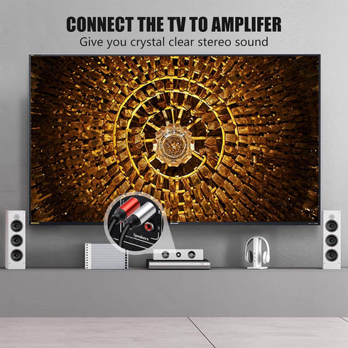 2RCA to 2RCA Cable 3Ft, Gold-Plated 2 RCA Male to 2 RCA Male Stereo Audio Cable for Home Theater, HDTV, Gaming Consoles, Hi-Fi Systems (3Ft/1M)...
