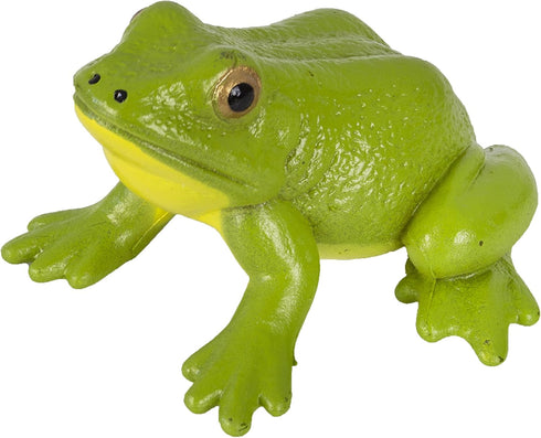 Safari Ltd. Life Cycle of a Frog Figurine Set - Miniature Educational Biology Toy for Boys, Girls, and Kids Ages 4+...