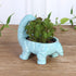 VanEnjoy 6 Inch Cute Cartoon Dinosaur Shape Ceramic Succulent Planter, Water Culture Hydroponics Bonsai Cactus Flower Pot,Air Plant Vase Holder De...
