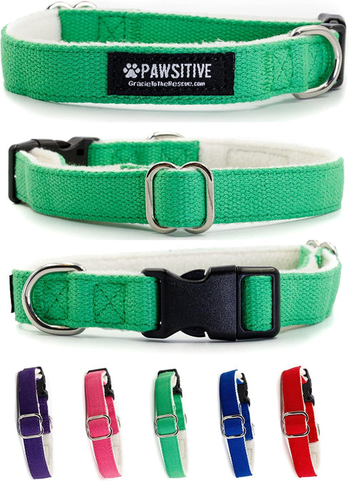 Pawsitive Hemp Dog Collar - Green Dog Collar - We Donate a Collar for Every Collar Sold. Help a shelter in Need! Solid Color Adjustable Collar Gre...
