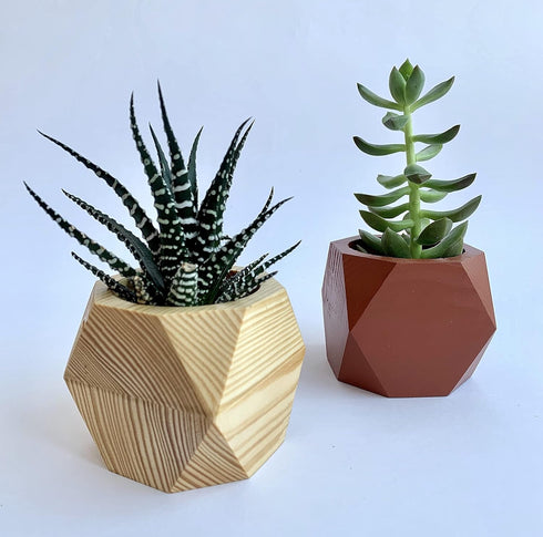 Untitled Succulent Planter - Wooden Pot for Small Flower or Preserved Moss - Indoor Plant Pot for Succulents or Faux Plants - Moss Pots (Natural)...