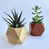 Untitled Succulent Planter - Wooden Pot for Small Flower or Preserved Moss - Indoor Plant Pot for Succulents or Faux Plants - Moss Pots (Natural)...
