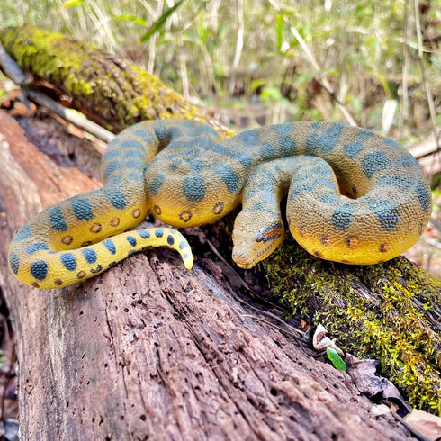 Safari Ltd. Green Anaconda Figurine - Detailed 6" Plastic Model Figure - Fun Educational Play Toy for Boys, Girls & Kids Ages 3+...