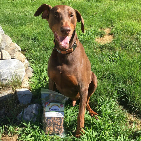 Beef Dog Treats – Made in USA Only – All Natural, Meaty Beef Tips – Premium Slow Roasted American Beef – Grass Fed, Farm Raised – Crunchy, Grain F...