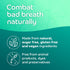 Oracoat® FreshMelts® Fresh Breath Stick-on™ Melts for Lasting Freshness, Arctic Mint, 160 Count...