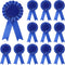 12 Pieces Blank Award Ribbon Prize Ribbon 1st Place Rosette Ribbon Award Medal Winner Victory Ribbon Recognition Participation Ribbon for Competit...
