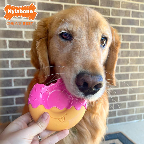 Nylabone Power Chew Donut Dog Chew Toy - Fun & Cute Dog Toys for Aggressive Chewers, Durable Dog Toys, Bacon Glazed Flavor, Large/Giant (1 Count)...