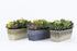 Classic Home and Garden 9408CP3D-238 Set of 3 8" Round Corinthian Planter, Oil Rubbed Bronze...