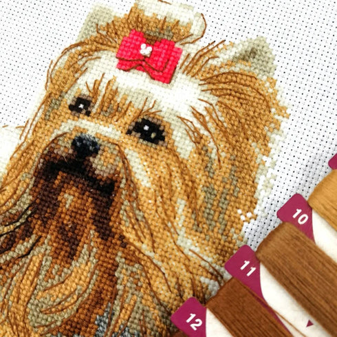 RIOLIS Counted Cross Stitch kit 2152 Yorkshire Terrier...