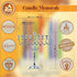 Ner Mitzvah Silver Plated Candle Menorah, Fits All Standard Hanukkah Candles - Curved Branches, 7.25 High x 6.5 Wide...