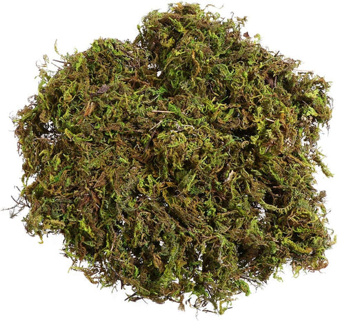 VOSAREA 1 Pack Artificial Moss Fake Lichen Simulation Green Faux Pot Moss for DIY Miniature House (About 60g)...