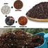 Organic Potting Soil Mix for All Indoor & Outdoor Small Containers Including Herbs, Vegetables, and Flowers 1 qt...