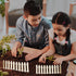 40 Inches Miniature Fairy Garden Fence, DIY Wood Picket Fence Mini Ornament for Dollhouse Home Garden...