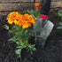 Radius Garden 15202 DIG Multi-Purpose Tool, Green...