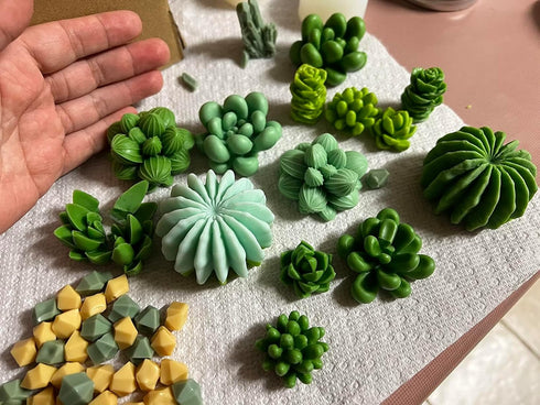 Palksky 10 Pcs Succulent Molds Silicone Candle Molds 3D Cacti Epoxy Resin Casting Molds Cactus Clay Molds Christmas Molds for DIY Making Wax Melt ...