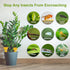 48 Pcs Yellow Sticky Traps for Gnats, Fruit Fly Traps for House Indoors, Fungus Gnat Sticky Traps for Plants, Incest Catcher for Whiteflies Mosqui...