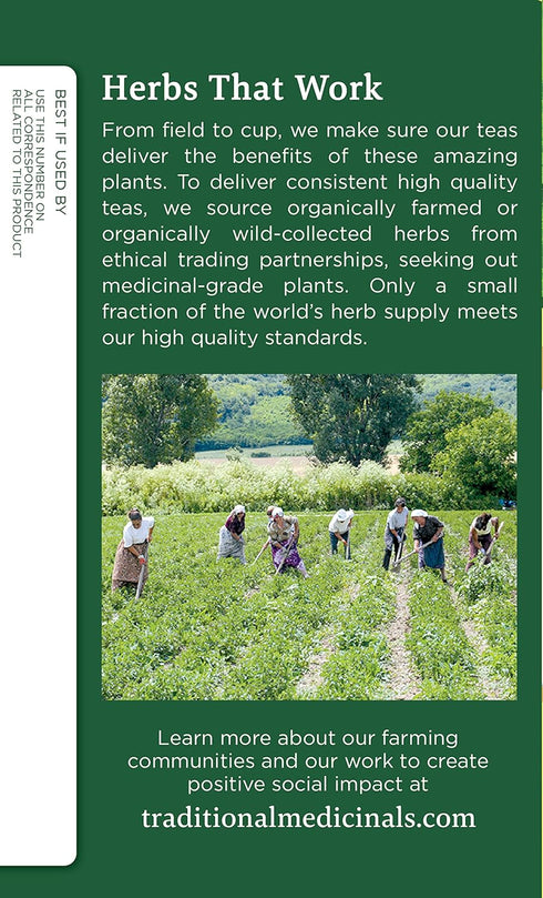 Traditional Medicinals Tea Lemon Balm Org ( 2 Pack)...