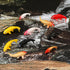 Mini Koi Fish 20 Pcs Goldfish Figurines Miniature Tiny Carps Garden Supplies, Plastic Fish Figures Small Goldfish Miniature Carp Ornament Garden D...
