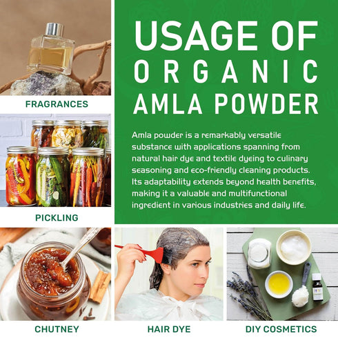 Jiva Organics Organic Pure Amla Berry Powder, 7 Ounce - Food Grade & Non-GMO - for Cooking & Beauty Care...