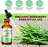 Rosemary Oil, 2.02 Fl Oz Pure Rosemary Essential Oil with with Glass Dropper - Undiluted Rosemary Massage Oil for Hair Growth Skin Care and Nails ...