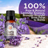 GuruNanda Lavender Essential Oil - 100% Pure, Natural and Undiluted Oil for Massage & DIY Recipes- Premium Diffuser Oil for Aromatherapy (Pack of ...