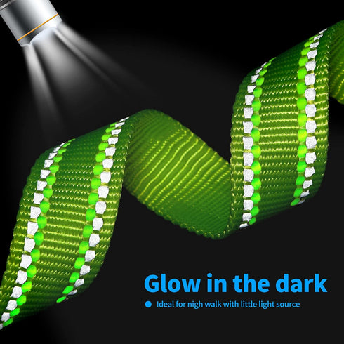 Mile High Life | Nylon Night Light Glow Collar for Medium Dogs | Reflective Band Cat Collar | Fluorescence self-Luminescence Strap Puppy Collar | ...