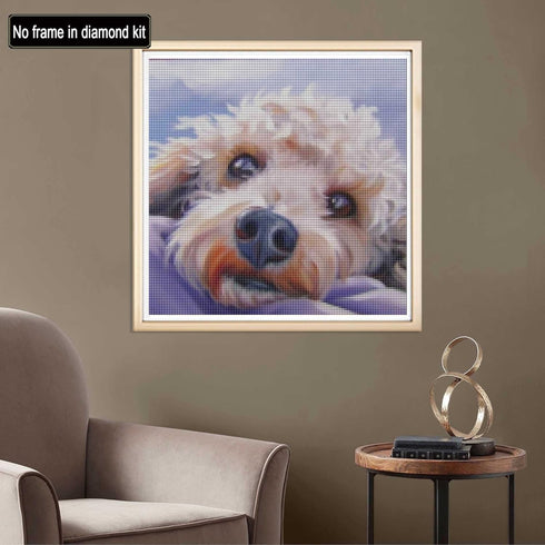 Diymood DIY 5D Diamond Painting Kits for Adults Dog Puppy - Diamond Art Kits for Adults Animal | Full Drill Round | Crystal Mosaic Picture | Begin...