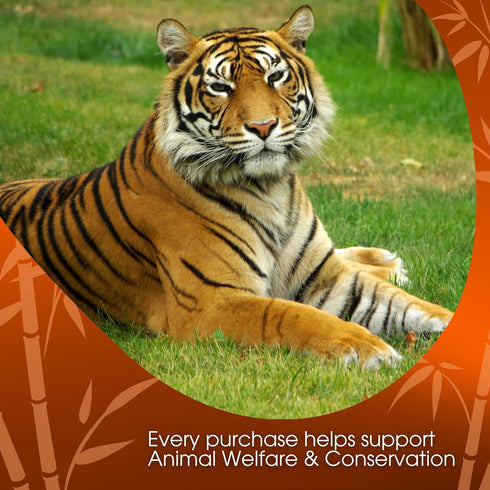 Tiger Spice Chai Tea Latte Mix, 14 Oz, Black Tea, Organic Spices, Dairy Free, Serve Hot or Cold, Just Add Water or Milk, 14 Servings...