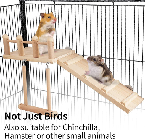 Bird Perches Platform Swing with Climbing Ladder, Parakeet Cage Accessories Wooden Playing Gyms Exercise Sturdy for Small Birds...
