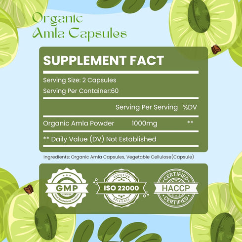 Amla Capsules (Phyllanthus Emblica) – Amalaki amla 120 Capsules | Natural Antioxidants Superfood | Herbal Supplement Made with Organic Amla Fruit ...