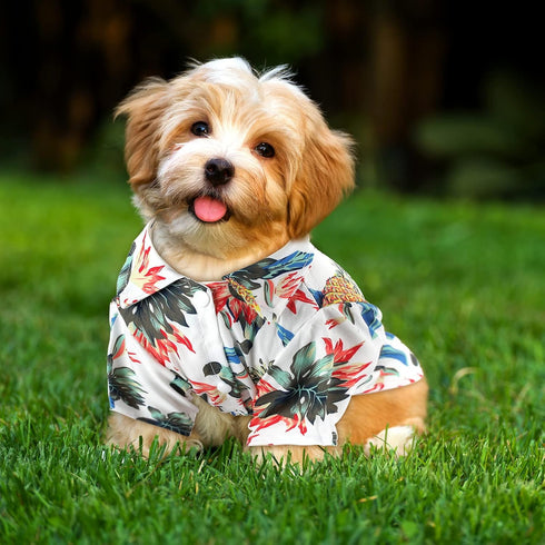 4 Pieces Pet Summer T-Shirts Hawaii Style Floral Dog Shirt Hawaiian Printed Pet T-Shirts Breathable Cool Clothes Beach Seaside Puppy Shirt Sweatsh...