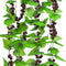Meiliy 8FT 5pcs Artificial Greenery Chain Grapes Fake Vines Leaves Foliage Simulation Fruits for Home Room Garden Wedding Garland Outside Decorati...